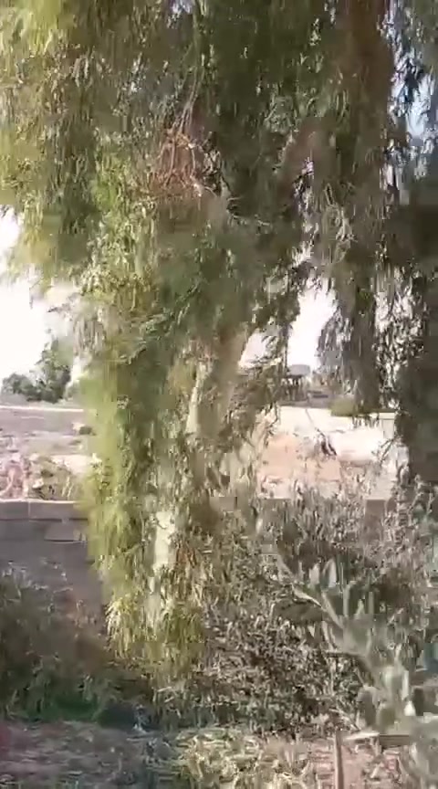السلام عليكم عندك تقليم سجر تكريب نخيل قص حدايق اتصل ***********
