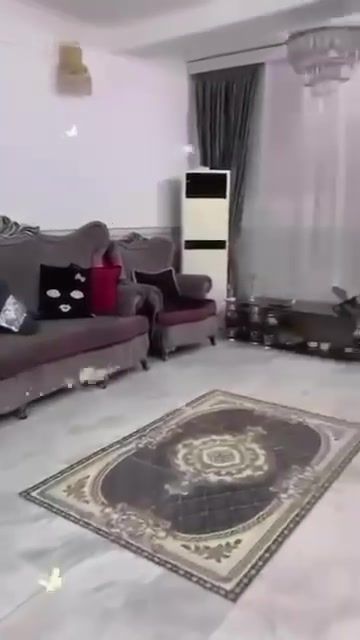 بغداد الجديدة • دار • ٩٦م