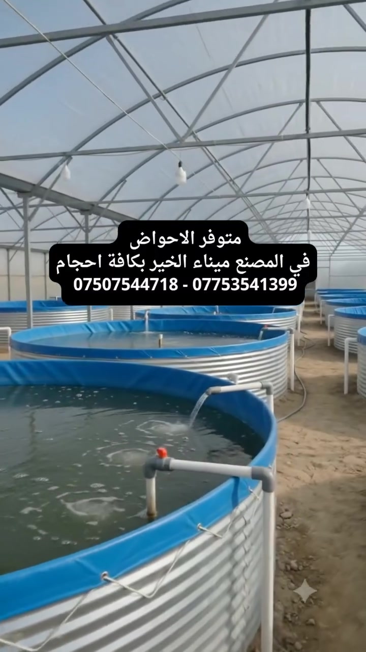 🐟 ميناء الخير | للاستزراع السمكي
هل تفكر في إنشاء مشروع تربية أسماك مكثف؟ 🌱🐟

شركة ميناء الخير متخصصة في تربية الأسماك وتصنيع وتنفيذ الأحواض السمكية المكثفة، ونوفر حلولًا عملية ومتكاملة تناسب احتياجات مشروعك.

🔹 تصنيع وتنفيذ الأحواض السمكية
🔹 تجهيز مشاريع تربية الأسماك المكثفة
🔹 تصميم الأنظمة حسب المساحة والإنتاج المطلوب
🔹 خبرة في تربية وإنتاج الأسماك
🔹 تنفيذ احترافي من الفكرة إلى التشغيل

📍 أربيل – قضاء قوشتبة – قرب معارض اللوريات
📞 ***********

🐟 ميناء الخير — نبني مشروعك السمكي من الأساس.

#ميناء_الخير #تربية_الأسماك #الاستزراع_السمكي #مشاريع_الأسماك #أحواض_الأسماك #أحواض_سمكية #تربية_الأسماك_المكثفة #الاستزراع_المكثف #مشروع_سمكي #أسماك #أربيل #قوشتبة #العراق #كوردستان
