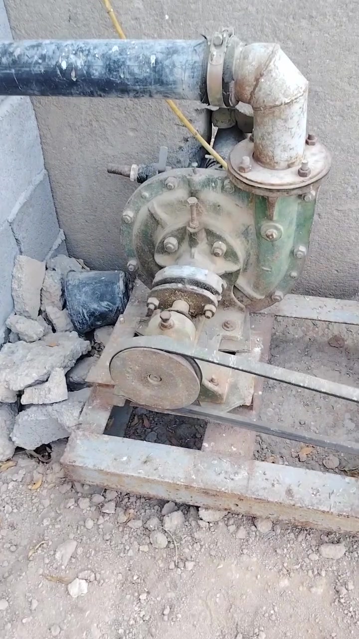 شغالات • البصره