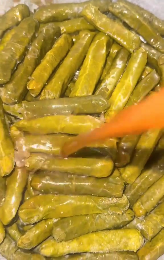 شايفين هاللمعة؟ هذا ورق عنب ايان قبل لا يدخل الجدر 🍇
طازة، ناعم، وما ينمل منه🤤
يوجد توصيل 🚛
للحجز مراسلة الصفحة 
او الاتصال ع هذا الرقم ‏‪***********‬‏
