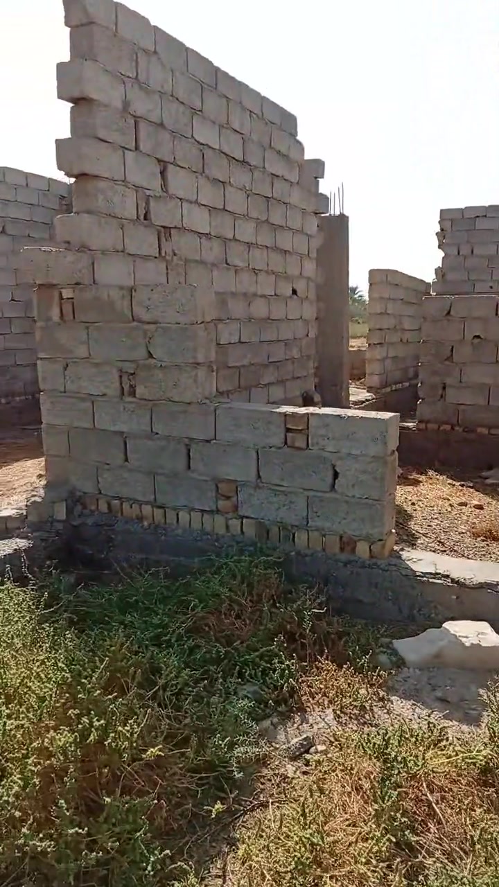 الخضراء • ٣٠٠م • زراعي