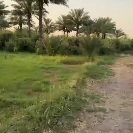 🌿🔴 بستان مثمر للبيع – فرصة مميزة 🔴🌿

🌴 المساحة: 6 دونم
🍊 بستان مثمر درجة أولى
🌴 يحتوي على نخيل وحمضيات ومختلف أنواع الفواكه
📜 طابو زراعي – سند 25
📌 متوفر للبيع: دونم، دونمين، نصف البستان أو كامل المساحة

📍 العنوان: واسط – قضاء الصويرة – الداور الشرقي

📩 للاستفسار أكثر: مراسلة صفحة الرائد للاستثمار العقاري
📞 *********** – أحمد العباسي
📞 *********** – مؤمل إحسان

الرائد ثقتكم الدائمة واستثماركم الناجح 🤝
