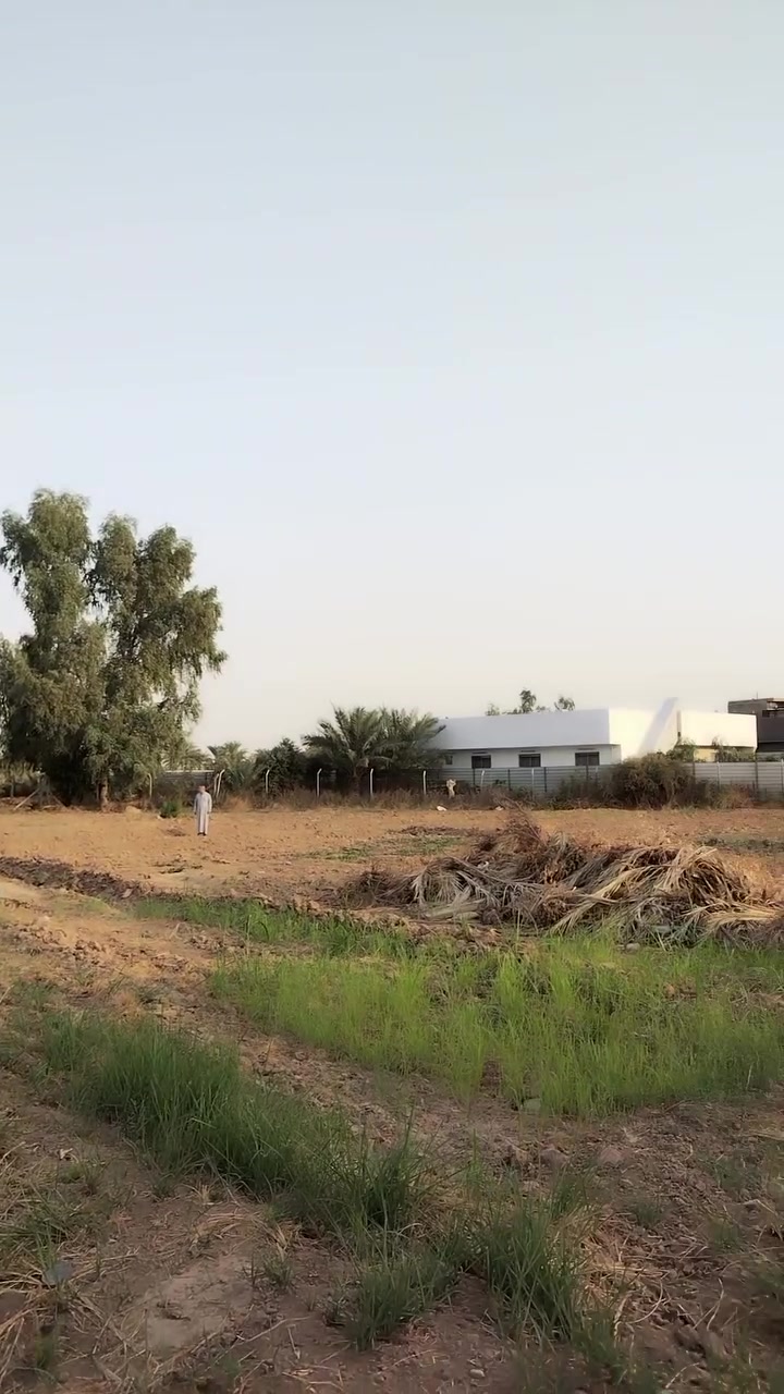 سند ١١٧ • ٢ دونم • جسر الفرنسي