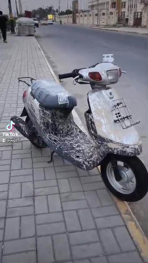 بطه • فحل • نضيفه