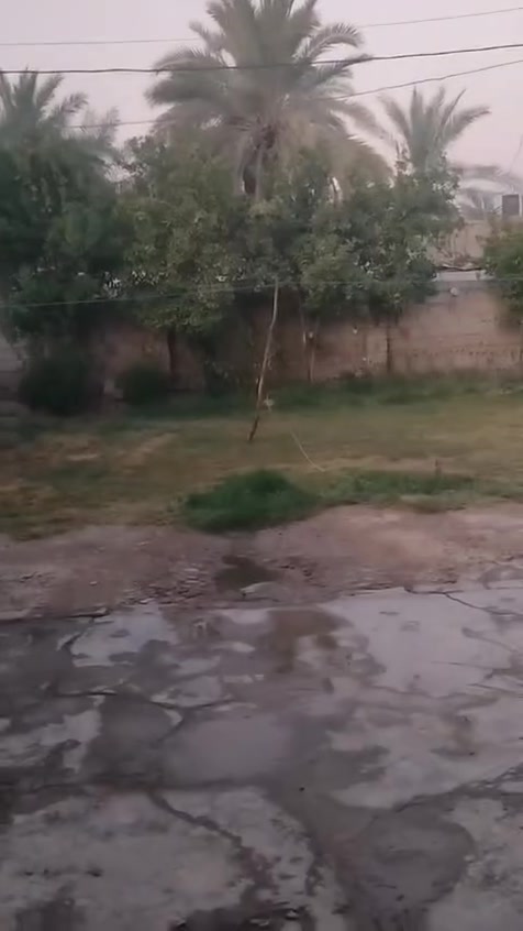 بيت للبيع  بناء متوسط مساحه 900 متر طابو زراعي سند 25 تحويل مباشر كافه الخدمات العنوان حله الورديه خارج بنافع يبعد الشارع العام 70 متر 3 غرف نوم وكل الملحقات  السعر مناسب 65 مع المجال البسيط ‏‪***********‬‏
