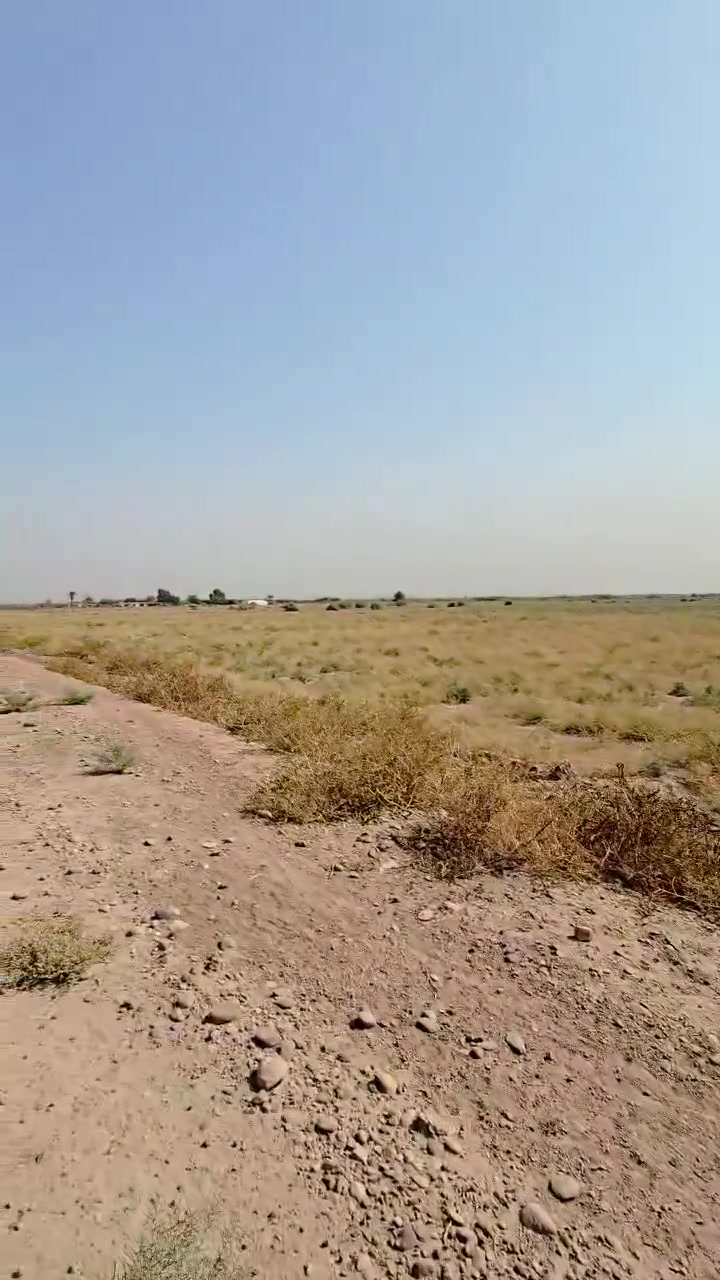 البيارق الراشدية • ٥ دوانم • طابو ملك صرف