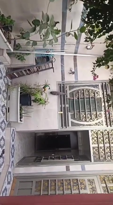 ياالله ع بركة الله
بيت للبيع 125 متر 
موقع حي الامير قرب الفرات
بيت جديد وجاهز وفارغ للسكن 
كله سيراميك ارضي وجداري 
غرفتين نوم وصاله واستقبال ومطبخ  صحيات + منور 
الشراي يتصل ***********
