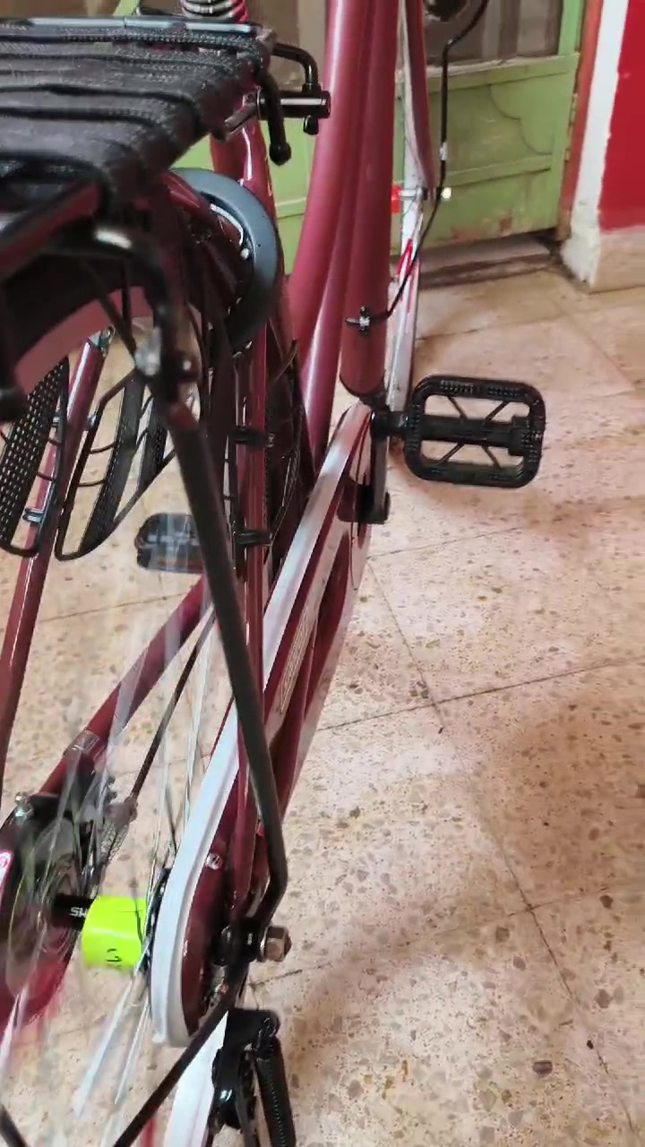 سانتوس • ٢٠٢٢ • محمودية