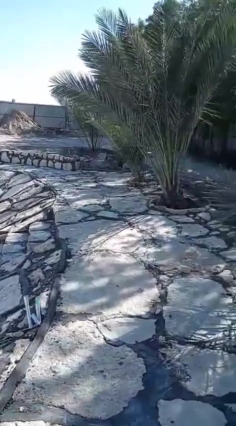سلام عليكم اريد شغل حجرنشتغل كرسته وعمل وبس عمل اهلي حكومي انسب السعار تصل وتدلل***********
