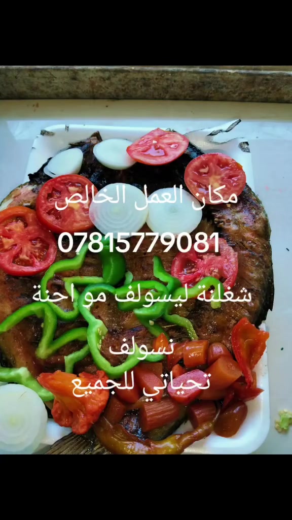 سلام عليكم مثل ماتشاهدون سمك اقفاص جميع اوزان موجودة مكان العمل شارع كركوك مجاور ابومنتضر للقيمة النجفية @ الحجز مفتوح يوجد توصيل ***********
