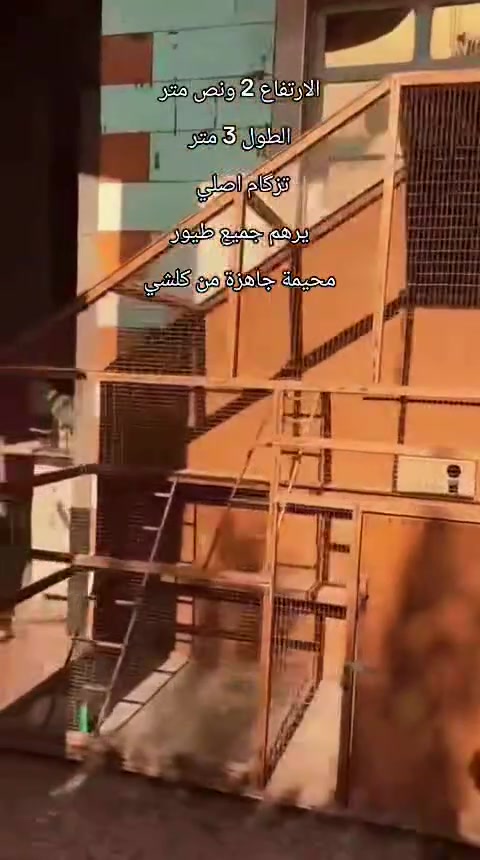 تفاصيل داخل الفيديو سعر 375
المكان البصرة القرنة مزيرعة ***********
