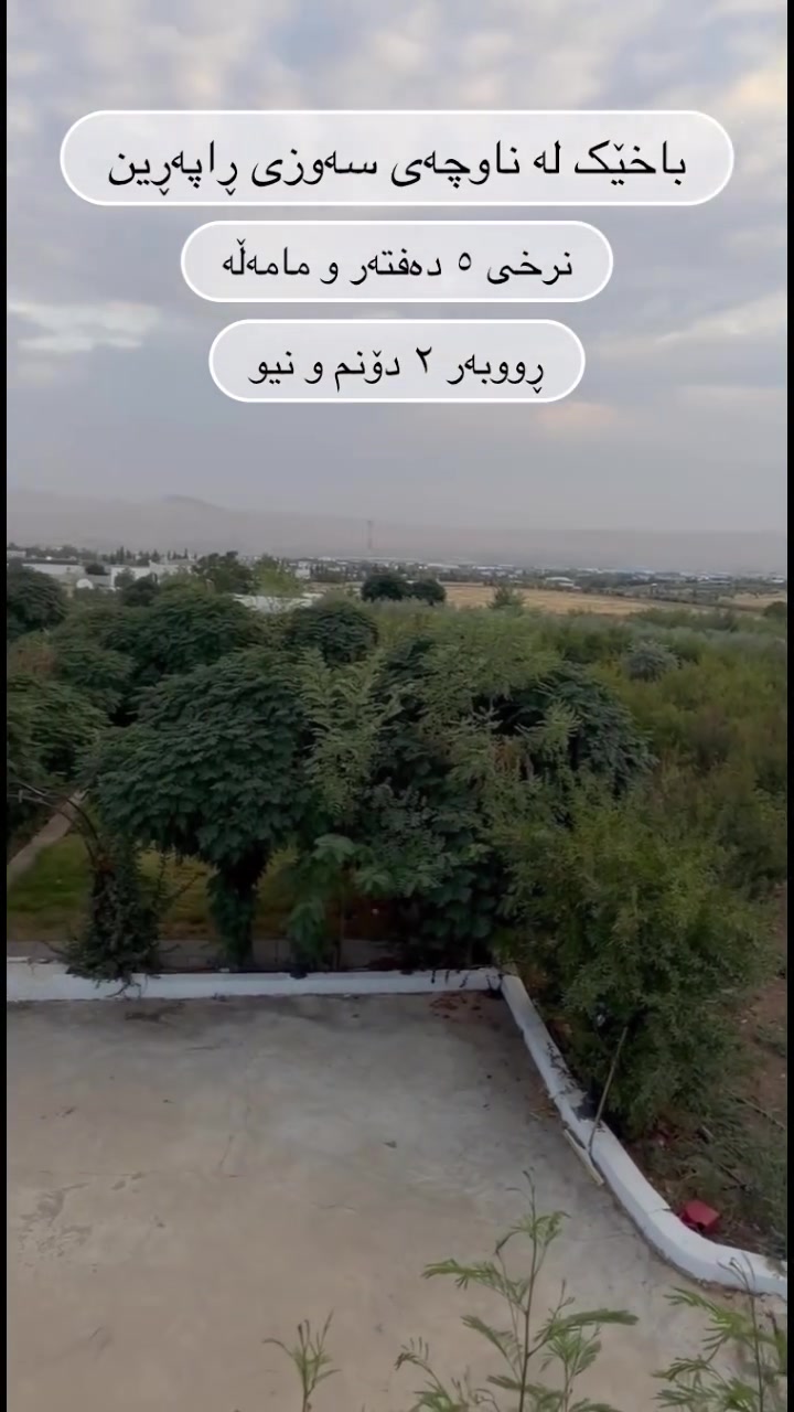 ناحية راپرین • ٦٢٥٠م • أرض