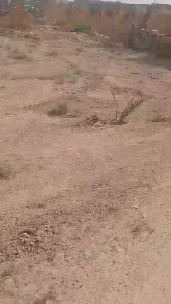 ٥٠٠م • طابو زراعي • سند ٢٥
