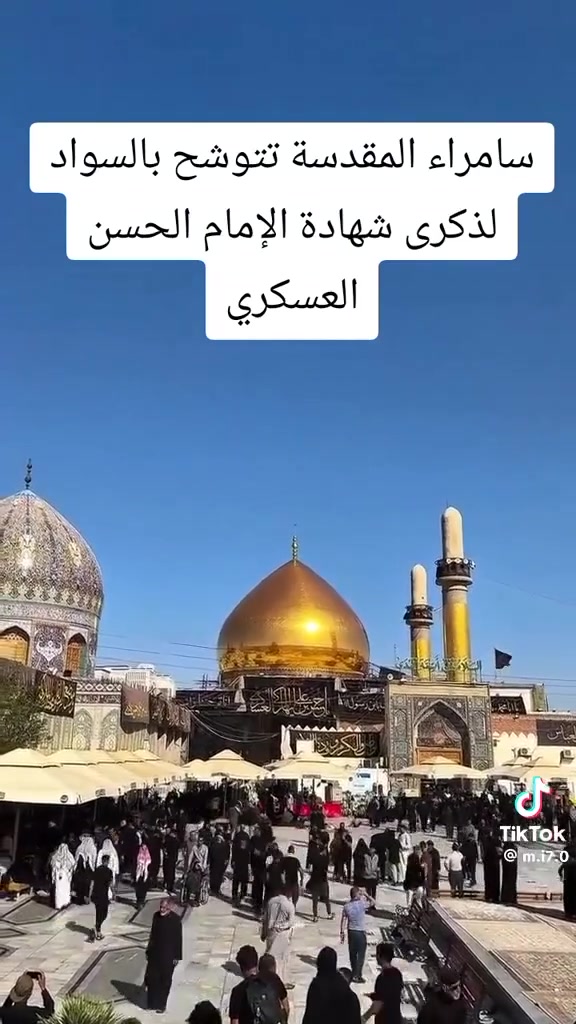 (يالله يالله بلاش بلاش تعلن حملتنا يوم ثلاثاء بعد صلاة) ضهر سامرء وسيد محمد وبرهيم ولامام الكاظم  السعر 10سارع في الحجز اخر خمس مقاعد سياره حديثه تجيك لاقرب (نقطه داله اتصل وتساب ودلل  ***********)(ملاحضه) (برنامج الاخ يوم الخميس ساعة تسعه ليلاً  سامرء وسيد)(محمد وبرهيم ولامام الكاظم السعر 13سارع سارع في)(الحجز ودلل خادمكم ابو ايه  )
