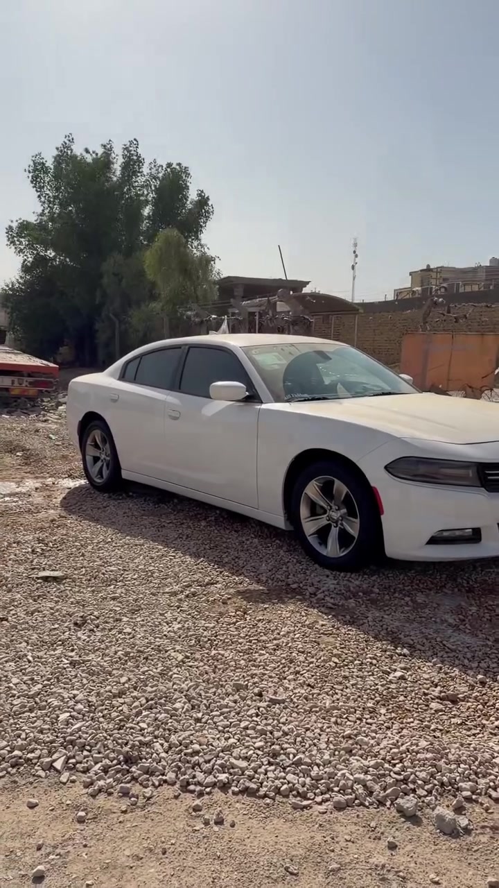 السلام عليكم
جارجر 2018 sxt
كنديه طابه كفاله عامه اهنا بلعراق صار بيها نص جاملغ خلفي صبغ بدون دواخل اوايرباكات سليمه 
سياره نضيفه كلش رقم بغداد بسمي تحويل ثاني يوم 
ويلsxt جديد تخم تاير جديد سياره مامشتغله خط ماشيه 10424mi
سونار مرفق ويه المنشور 
سعر السياره 235 والسوك كلشي بي 
مكاني بابل الحله 
***********

نص مكتوب في الصور:
- N° di omologazione SS2215 n° 19056 سونار تيربو كار TURBO CAR رقم السيارة /22436 نوع السيارة /جارجر حالة الشاصي لا يوجد ضرر حالة اللغد لا يوجد ضرر بأداره سيد محمد *********** *********** شارع 80 نجف قرب استداره حي العسكري