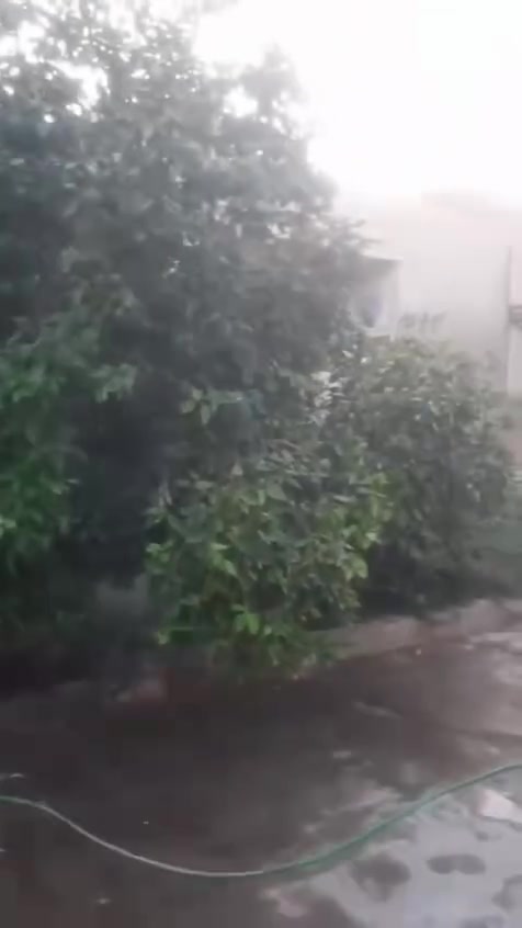 القادسيه • ٣٠٠م • ٢ غرف نوم