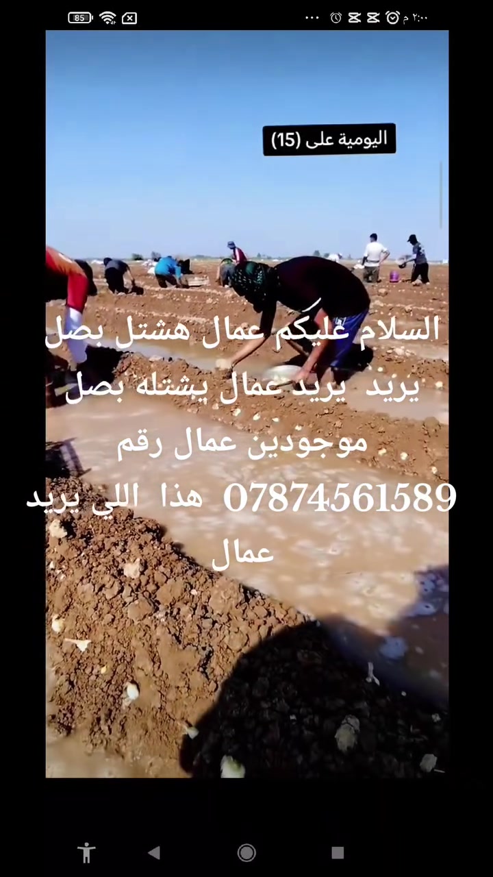 السلام عليكم اللي يريد عمال هذا رقمي***********
