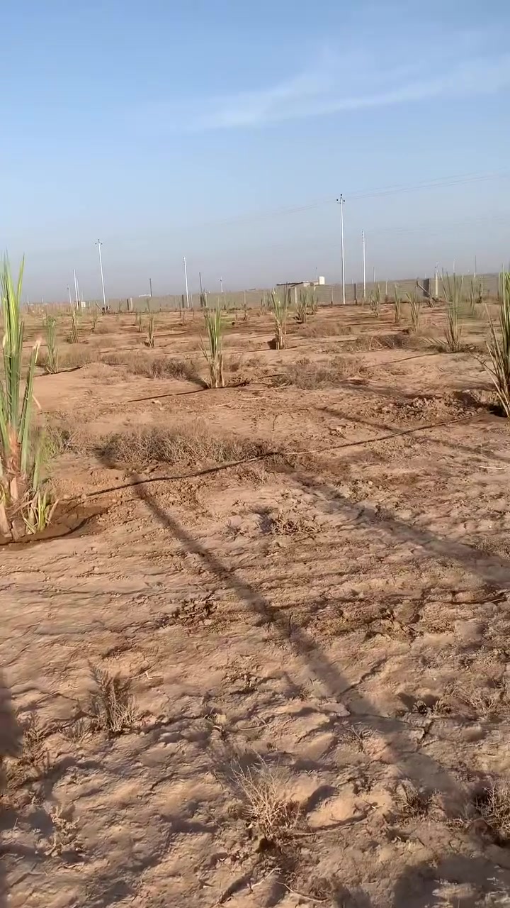 سلام عليكم
٣دوانم البيع سند ٢٥بسمي
كنعان قرب المجسر الجديد 
منطقة ابو دغار كامل خدمات مي كهرباء شارع١٥م مزروعة ١٣٥ فسيل 
***********
سعر الدونم٢٦
