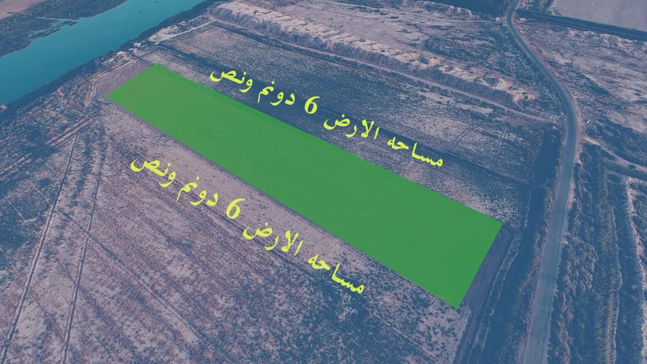 الكارضيه واسط • ٦ ونص دونم • طابو
