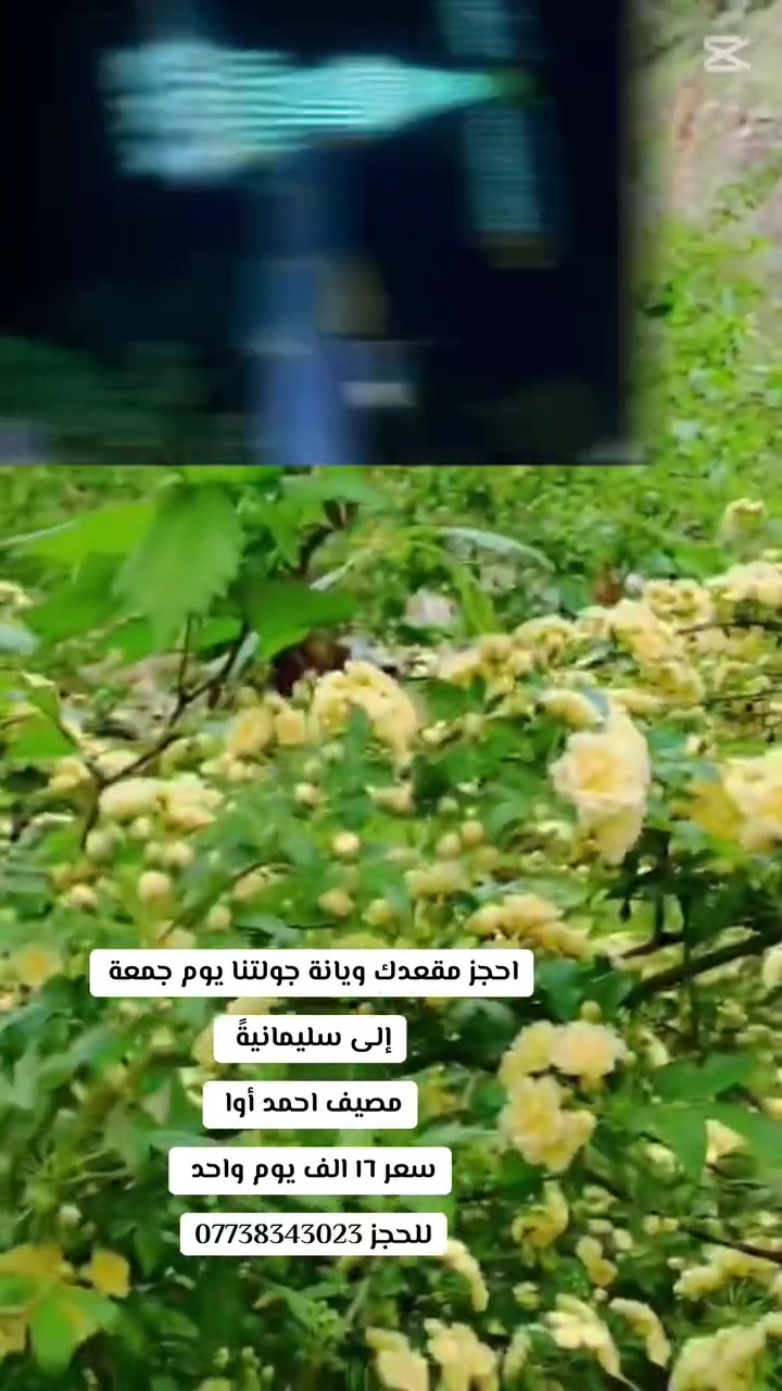 سليمانية • مصيف احمد اوه • جمعة
