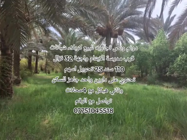 مكتب تجاري • كربلاء شبانات • ١٥٠٠م