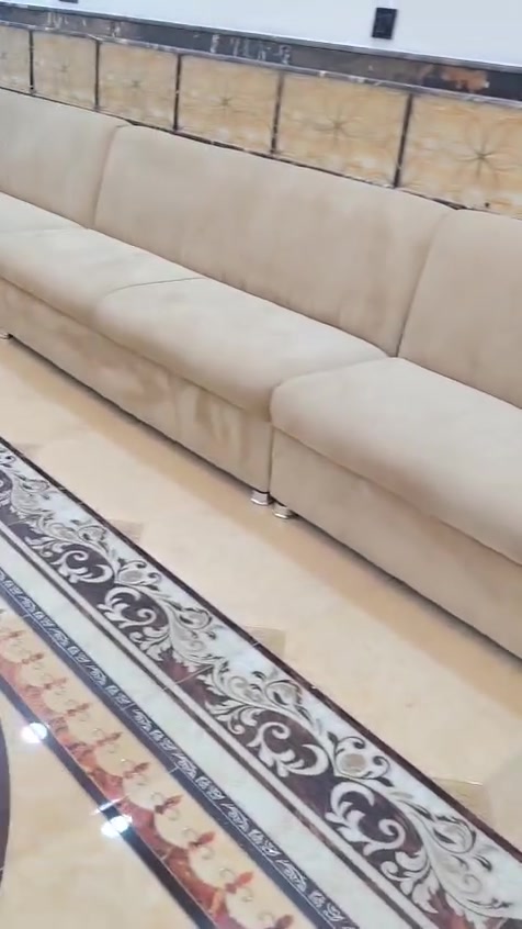 تخم تسكام للبيع
