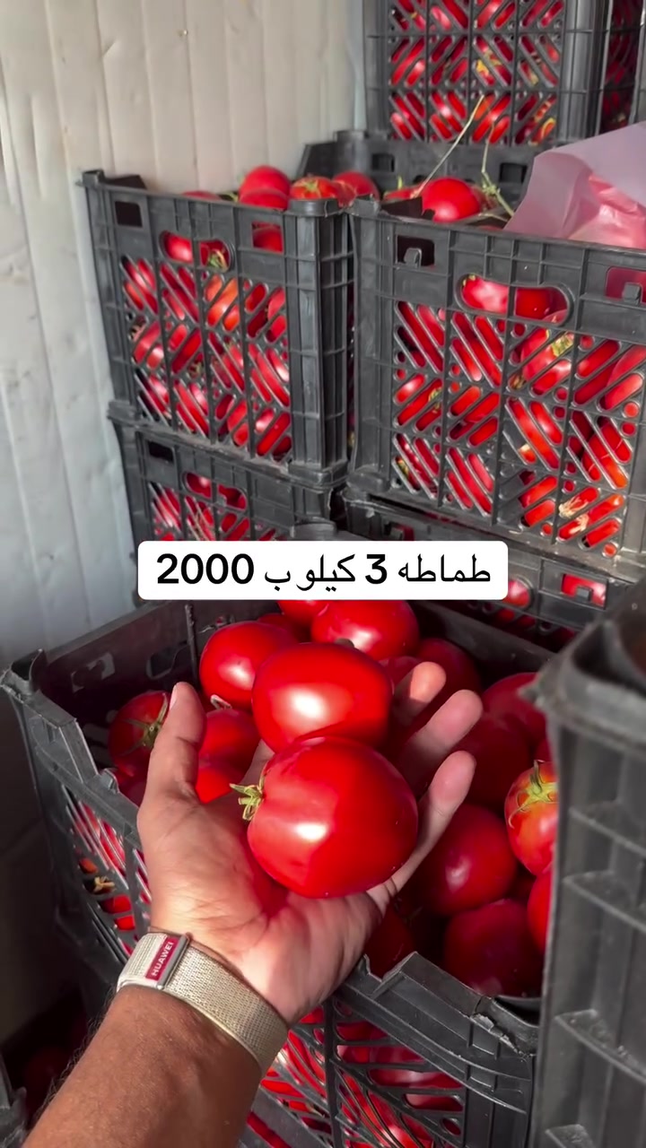 كوت الزهراء • مجاور مكتبة روتانا • توصيل واتساب