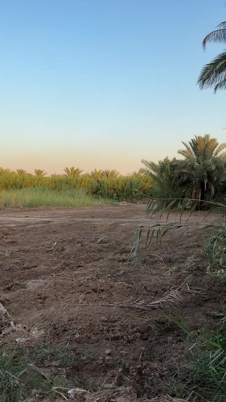 السلام عليكم 
نص دونم الوجه20وجهه عله شارعين بسعر جدا مناسب سعره)(75مليون)
طابو سند20تحويل ب اسم المشتري 
بغداد المدائن قرب شارع سيدعلي
***********
