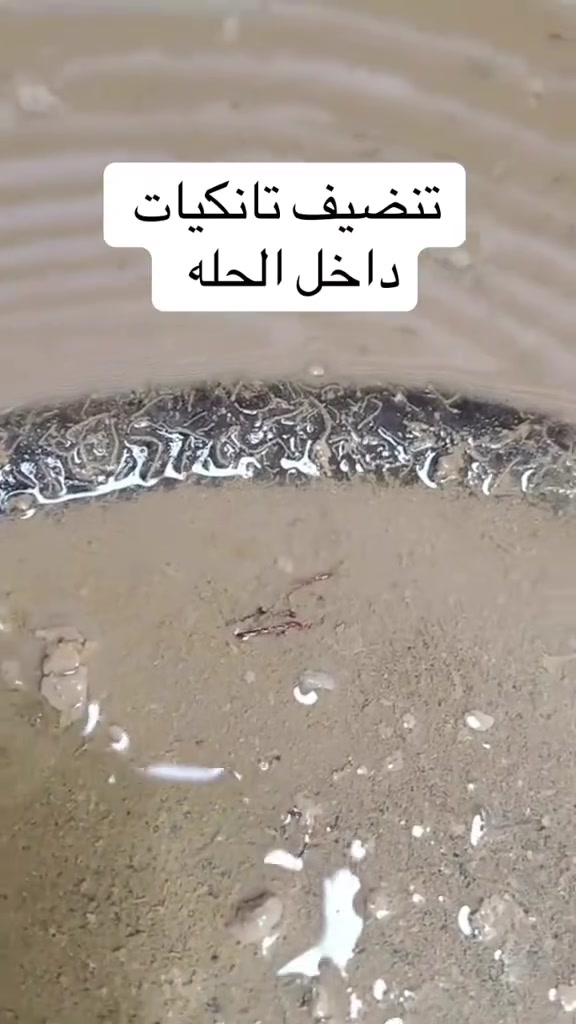 الحلة • تنظيف • بدون تفاصيل