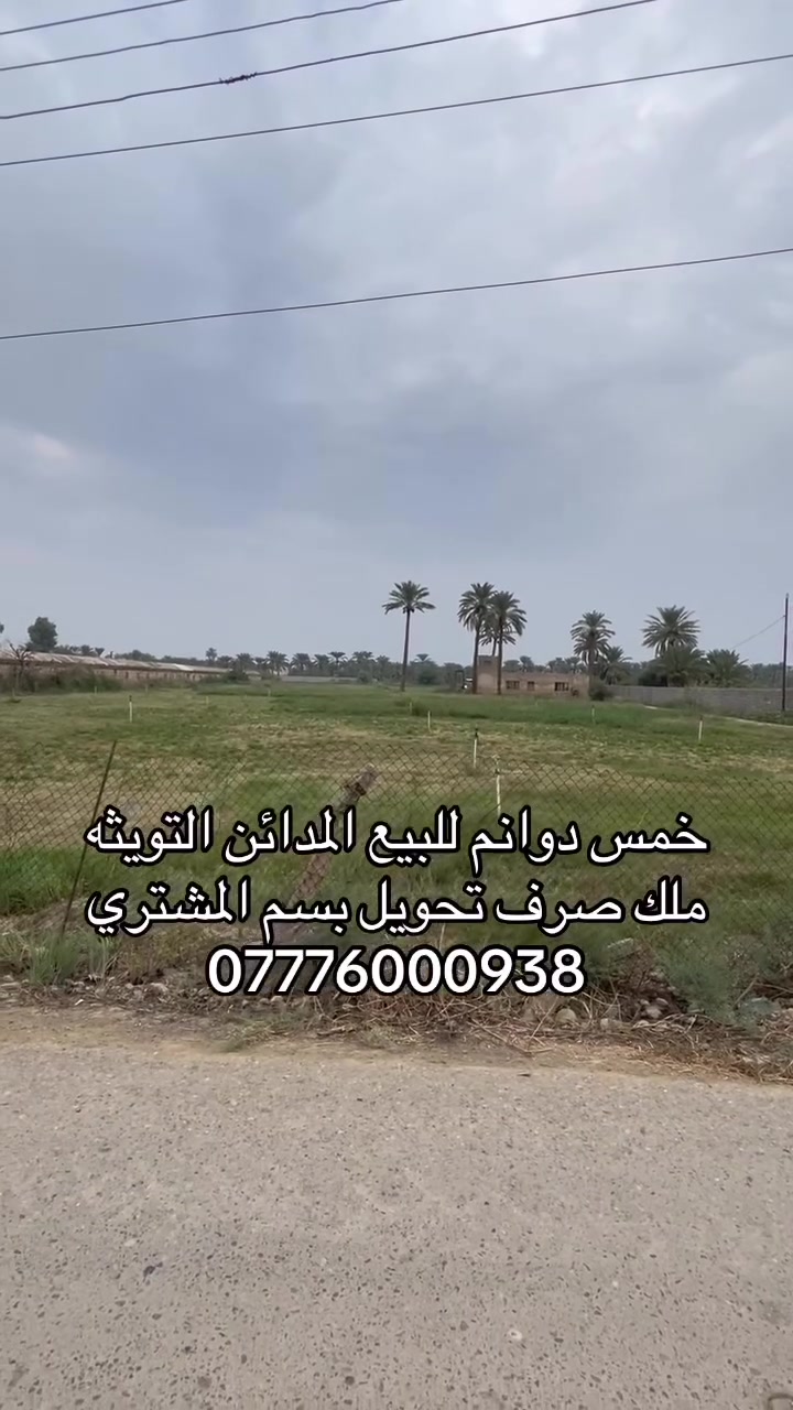 المدائن التويثه • ٥دوانم • ملك صرف