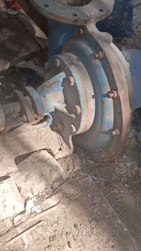 سلام عليكم لبيع خزيرات مل ماي  نضيفات كلش شرط تفحصهن ياله تاخذ هن للبيع مكاني في البصره الاستفسار ***********
