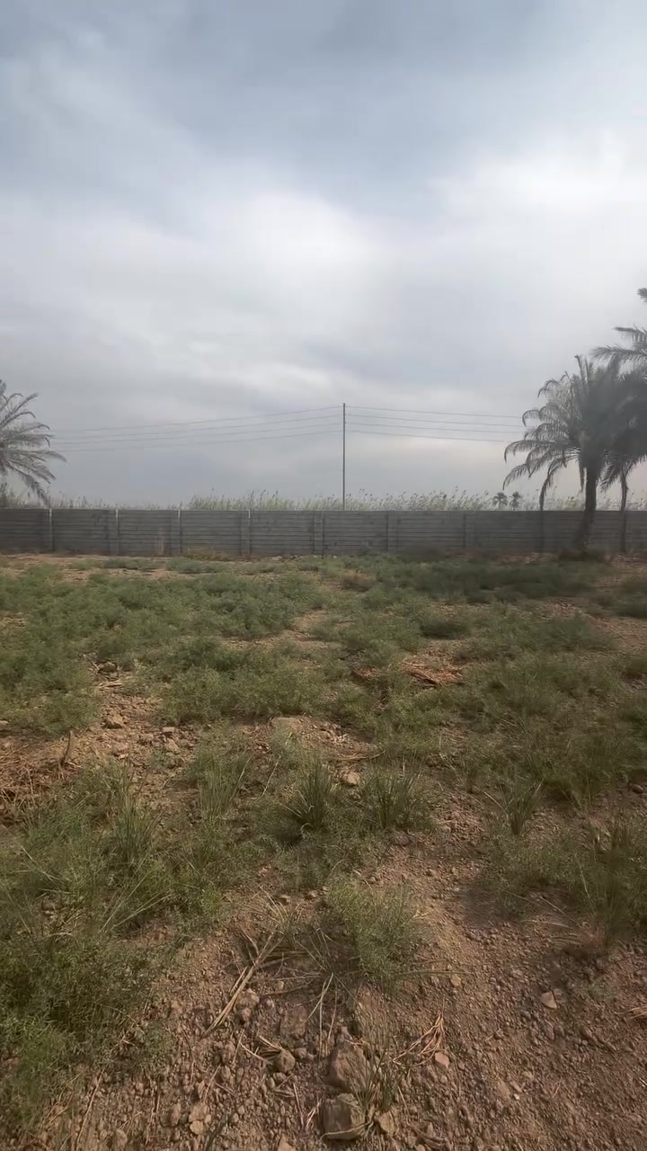 سلمان باك • الباوي • مزرعة','دونم كامل