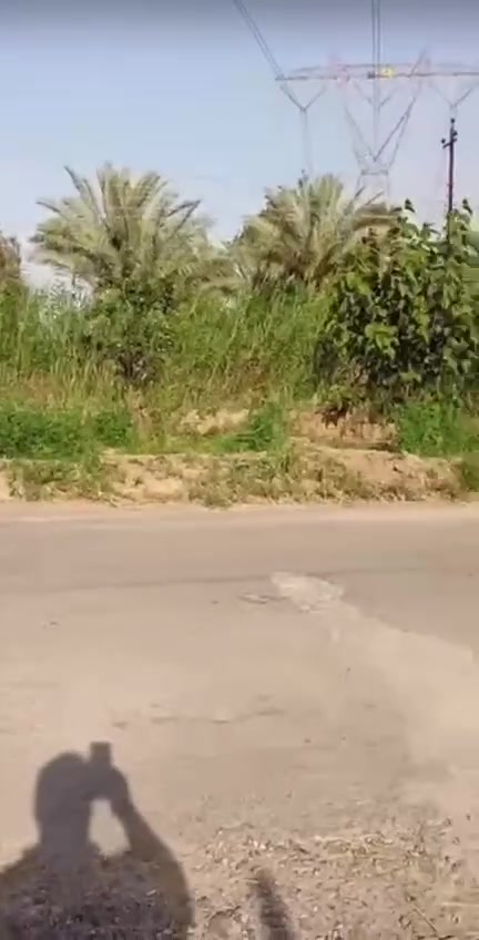 من رخصه لادمن السلام عليكم بيت زراعي ١١٧ منطقه لإصلاح شارع لجزيره مقابل بوب لشام مساحه ٥٠٠ متر لوجه ١٠ ونزال ٥٠ متوفر بي مي ومجاري وكهرباء لبيت علئ  شارع سعر ٩٠ وبي مجال قليل لشراي يتصل علئ هذا لرقم ***********  وبخدمته
