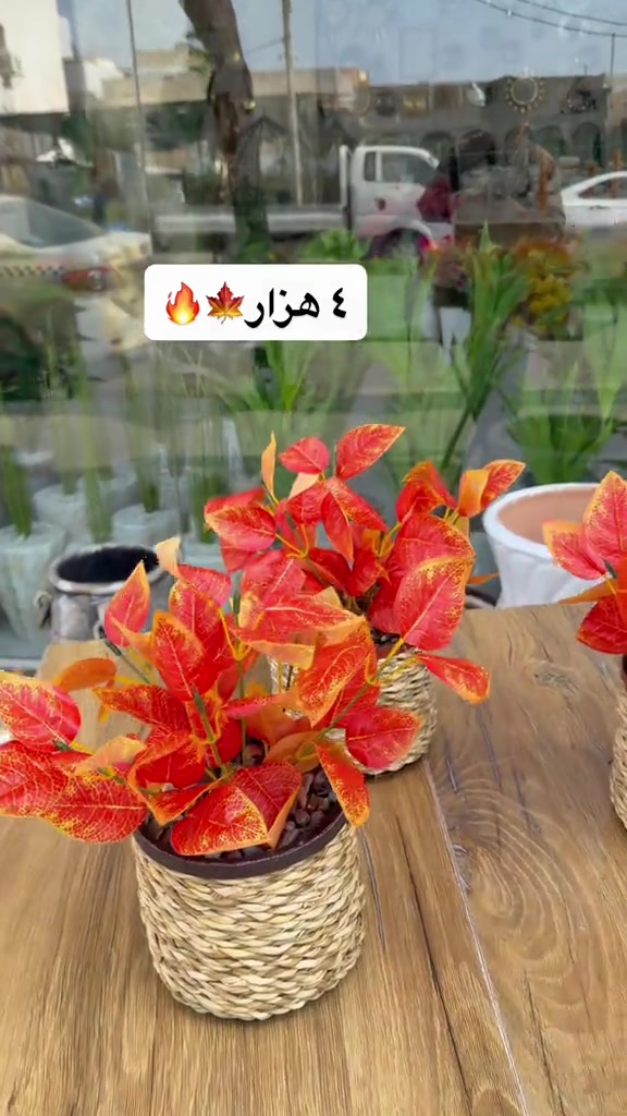 ديكور • حديقة