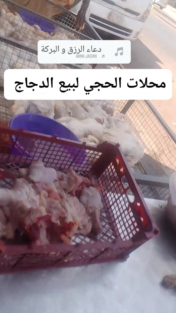 🔥كما وعدناكم مستمرين بالعروض 🔥

🐔 محلات الحجي لبيع الدجاج  🐔

سعر الكيلو الافخاذ بس ب  5000 الف دينار 
سعر الكيلو الصدر  بس ب  5000 الف دينار 
سعر الكيلو الصدر المسحب بس ب 7000 الف دينار 

متوفر دجاج خشن وناعم اسعار مناسبة  
خدمه توصيل متوفرة  🚕
سارع الحجز  *********** 📞
