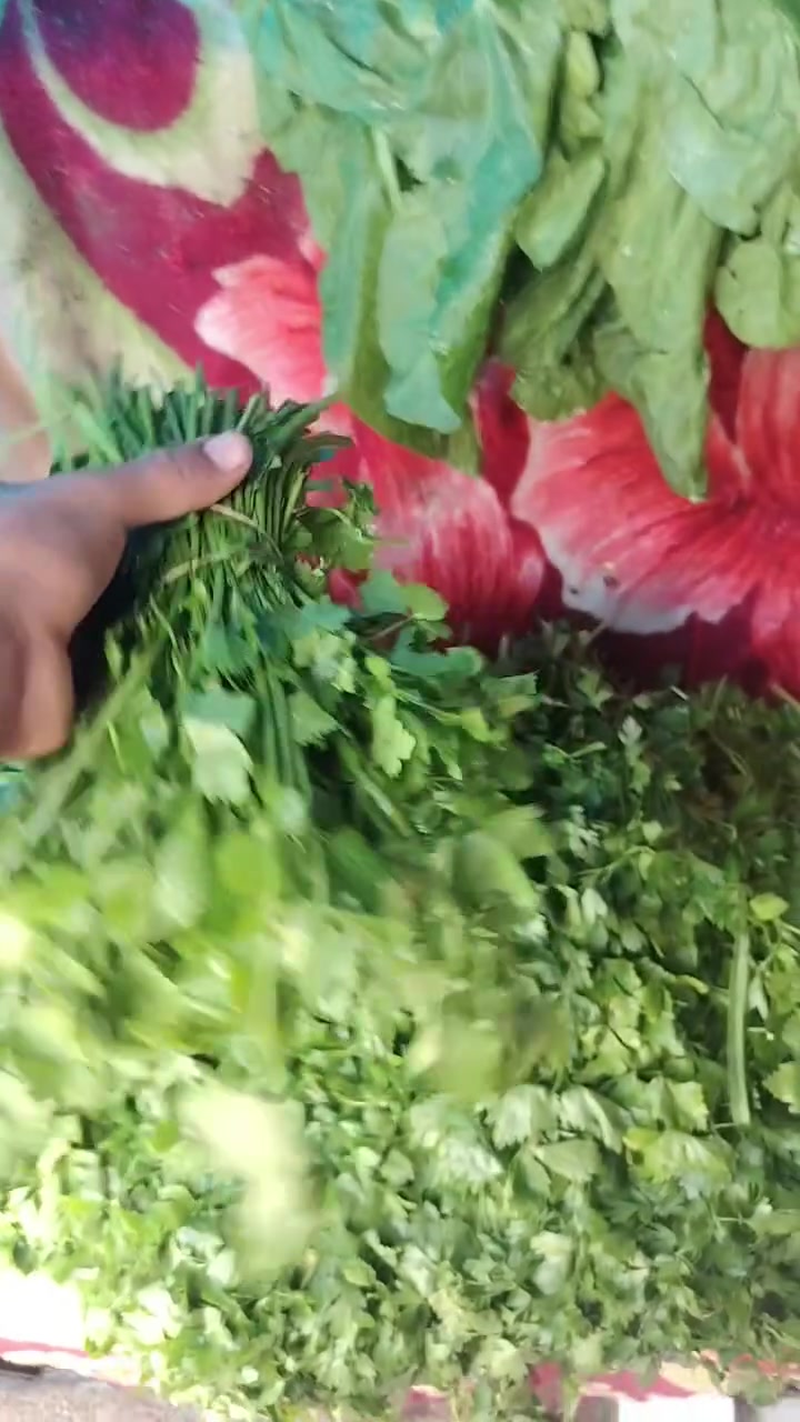 لحكو مخضر • تفليش جوه السوك • القياره