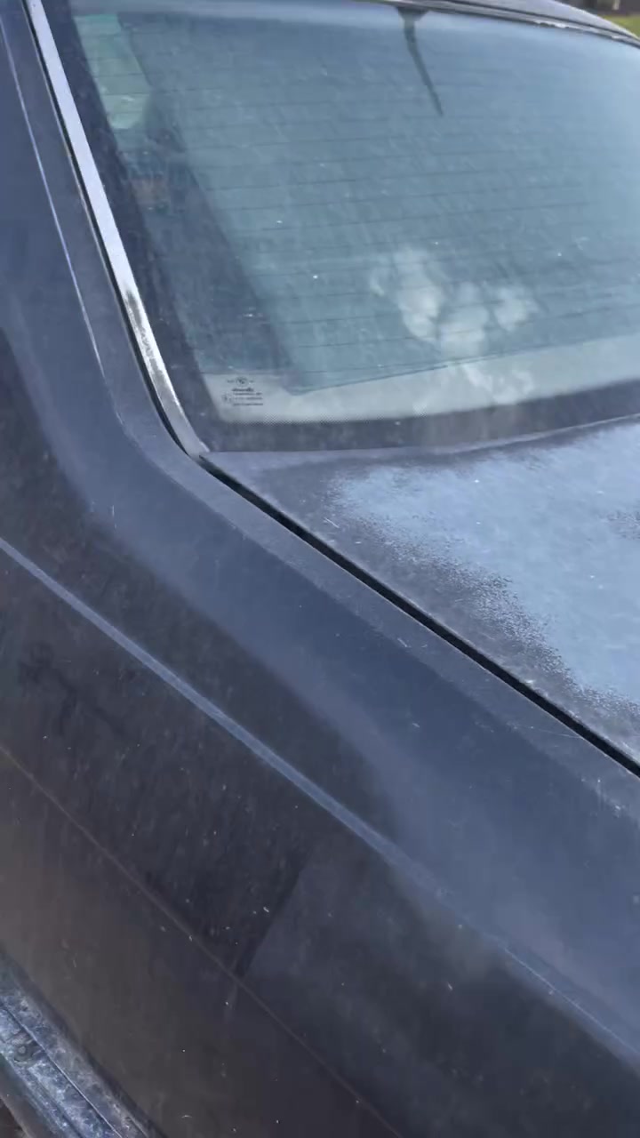 بيم ٧٣٥ • ١٩٩٣ • الدوره