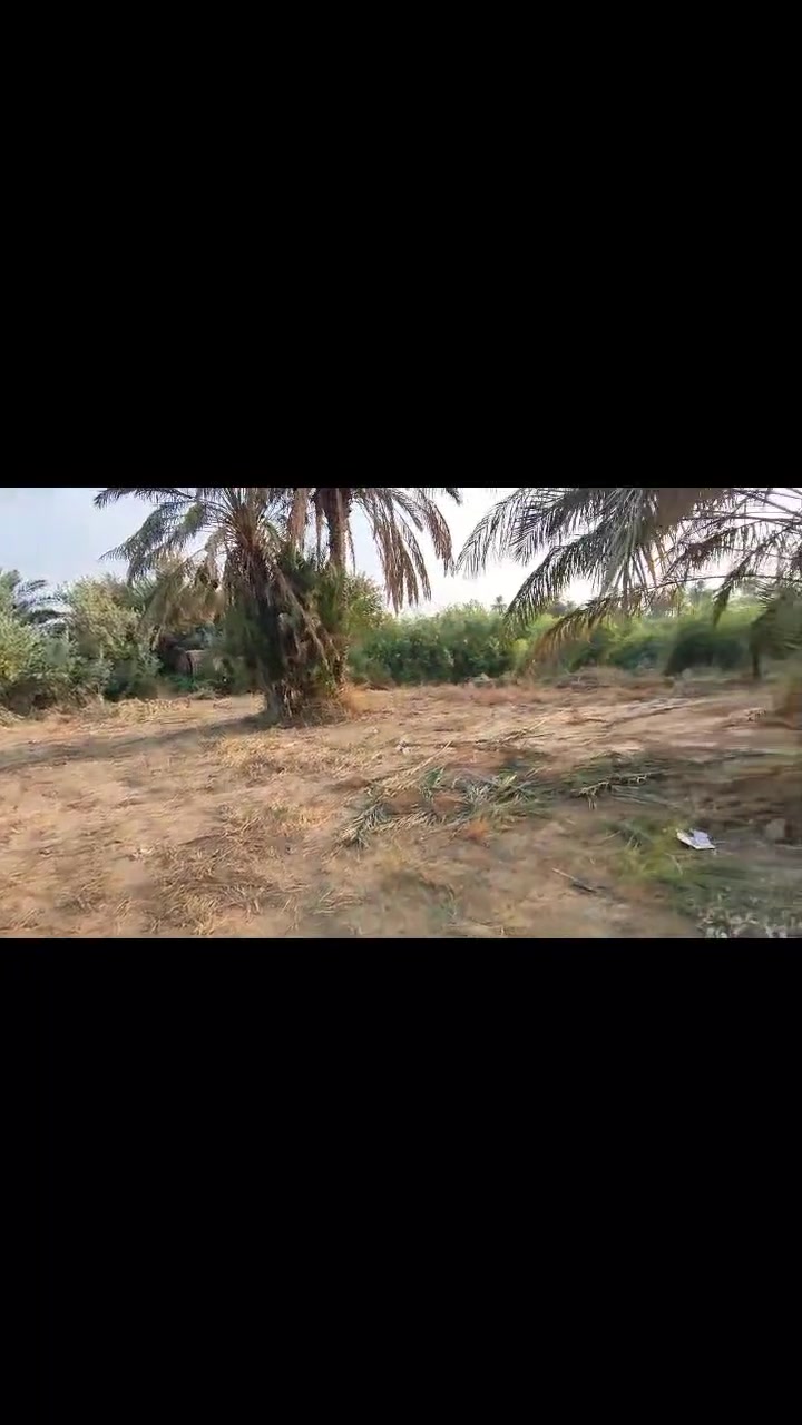 أرض • ٢٥٠م • شارع العبيد ع الشط