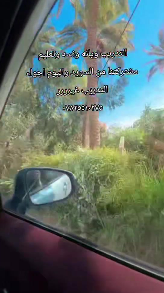 تعليم السياقة • ميكانيك • نجف مناذره