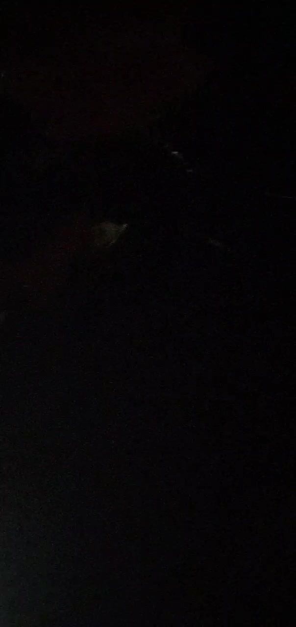ياديا٢٣