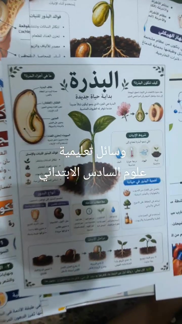 وسائل تعليمية • سادس ابتدائي • A5 ممغنطة