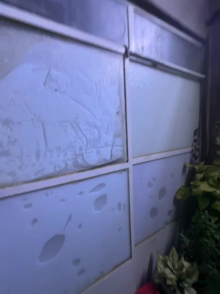 قواطع جام خانه عدد اثنين  حديد تفصال قوي وكلش ثكيل 
مع جام مضلل كامل ارتفاع مترتين و ٣٥ واجهه مترتين و ٥ 

ابيعه بربع سعره  اثنينهم ب ٢٠٠ 
مكاني بغداد الشعب الجمعيات ‭***********‬
