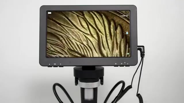 لا توجد تفاصيل

نص مكتوب في الصور:
- Hook it to PC/Laptop & View Real-Time Tiniest Details in LARGER Scale Take Photos and Record Videos Video Photo
- Stunning Visual Experience 7" 1080P 16:9 Rotation angle 7 inch High Resolution Aspect Ratio Rotation angle 7" OK M