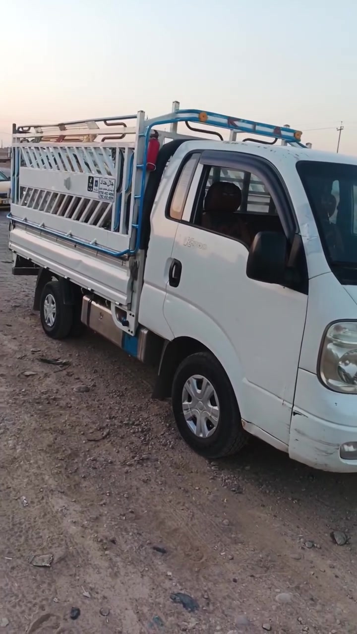 السلام عليكم محجل للبيع اربيلي  السعر 400.  ***********
