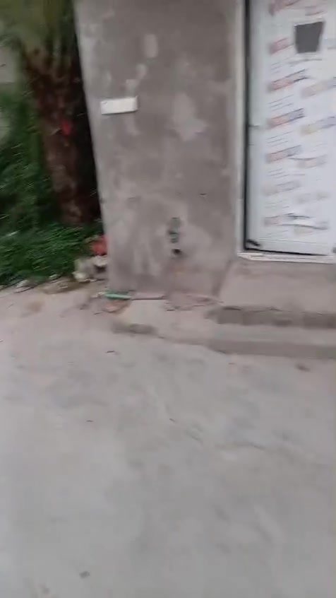السلام عليكم بيت البيع سبع قصور بل كراج شارع المدارس
مساحه الارض 360 زراعي سند 25 سعر لبيت 55 
لبيت يعتبر قطعه ارض لين تعبان 
***********
***********
