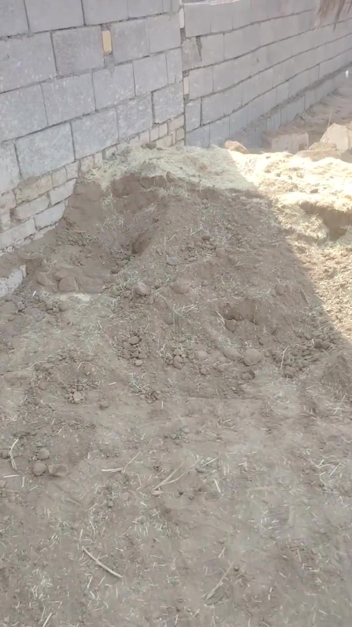 السلام عليكم مستعدين تصعيد تراب طابوك صب صطح اي شي بس راسل او اتصل وبخدمتك ***********
