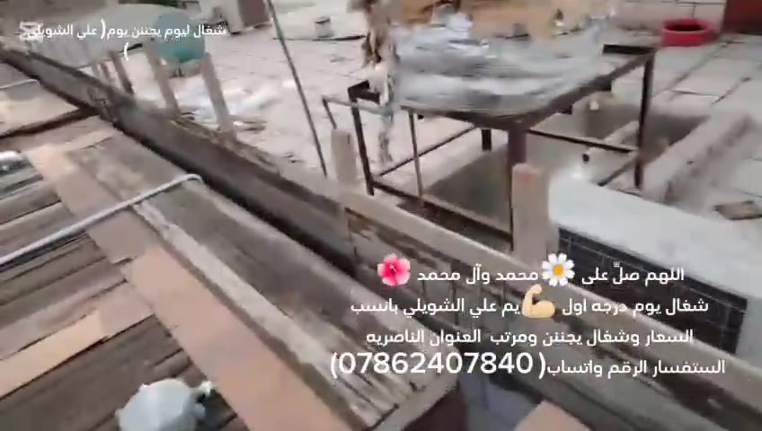 سلام عليكم
نجار قالب متغرغ العمال شغال درجه اول بنسب السعار تسليم مهندس مكاني ناصريه مركز ***********
