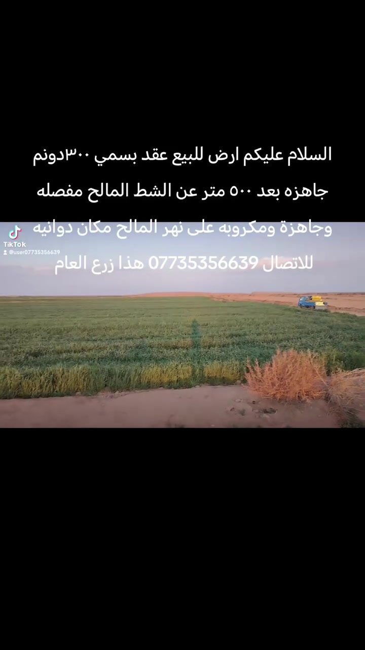 دوانيه • ٣٠٠دونم • ٥٠٠م عن الشط