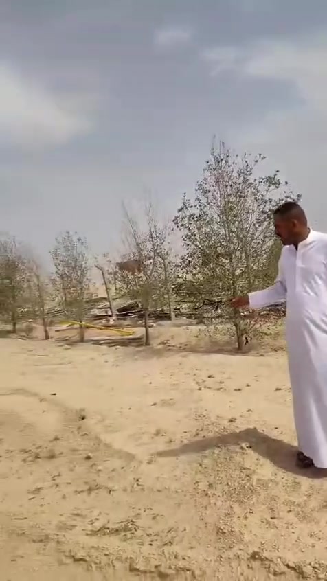 أرض • حي ربيع ثاني • للبيع